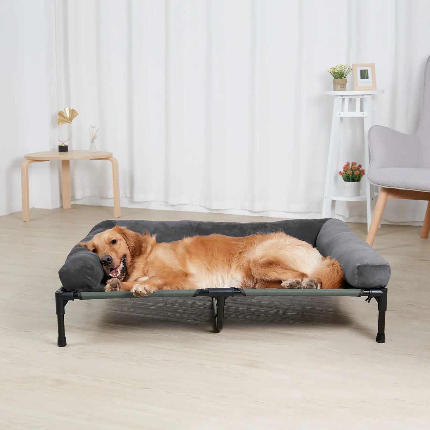 Dog Bed for Dogs and Cats Indoor Outdoor Elevated
