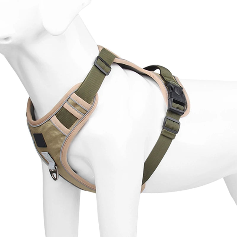 Dog Harness