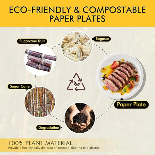 Bulk 50 Pcs 9 Inch Disposable Plates