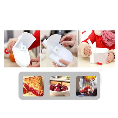 Cheery Pitter Cherries Seed Extraction Machine