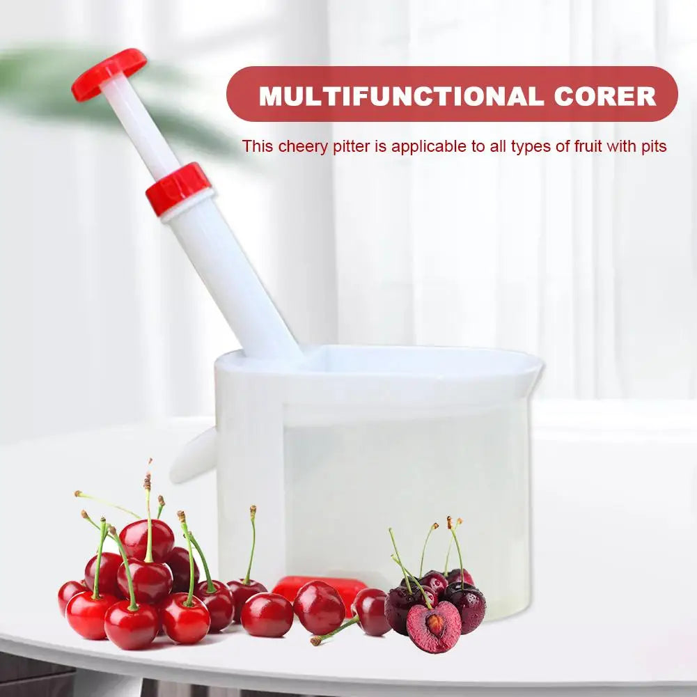Cheery Pitter Cherries Seed Extraction Machine