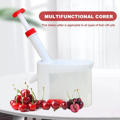 Cheery Pitter Cherries Seed Extraction Machine