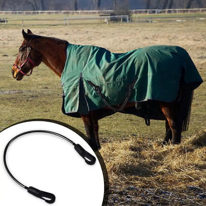 Horse Blanket