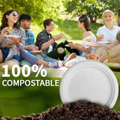 Bulk 50 Pcs 9 Inch Disposable Plates