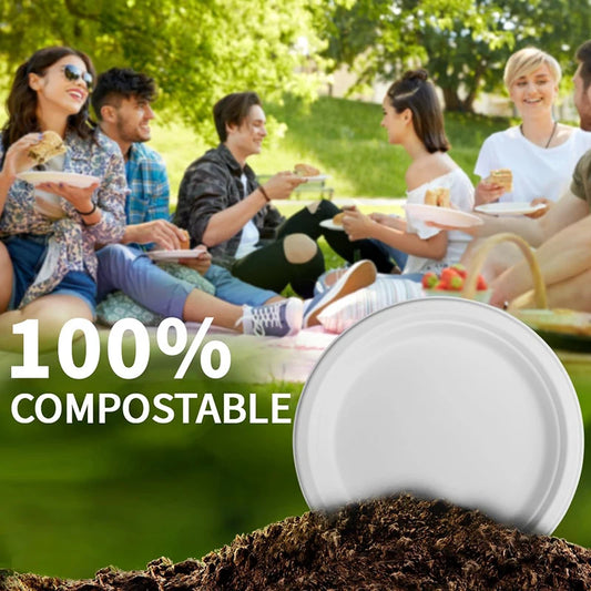 Bulk 50 Pcs 9 Inch Disposable Plates