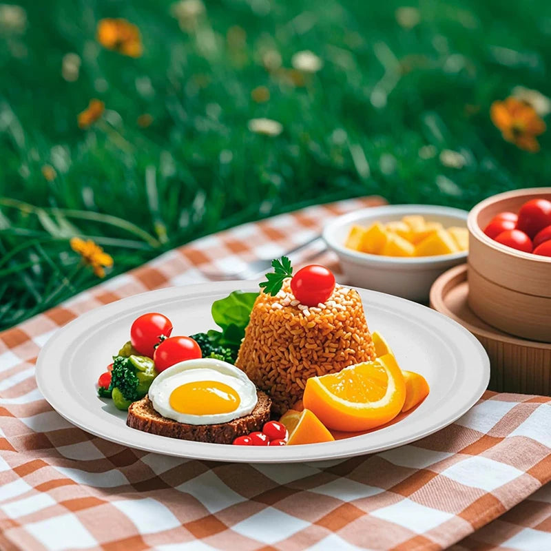 Bulk 50 Pcs 9 Inch Disposable Plates