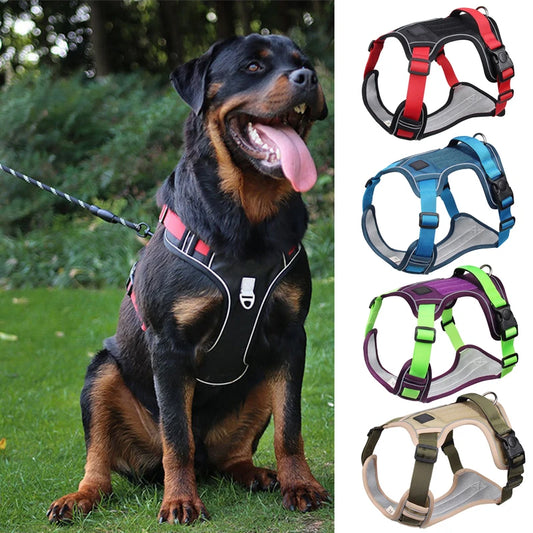 Dog Harness