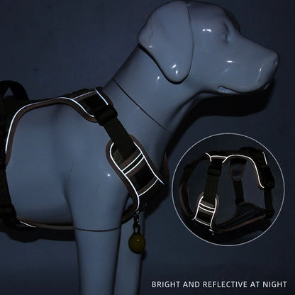 Dog Harness