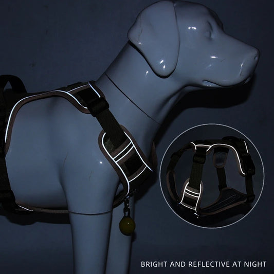 Dog Harness