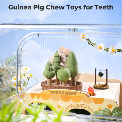 Small Pet Dental Health Toys