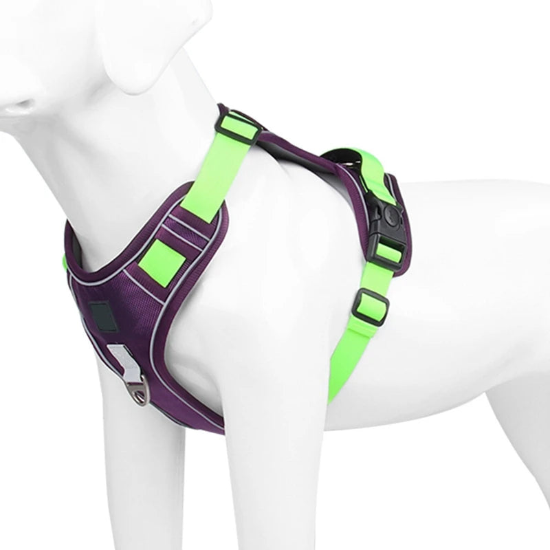 Dog Harness