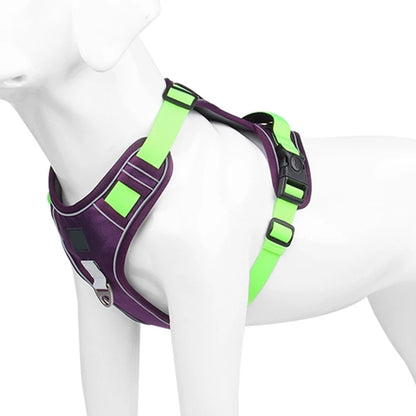 Dog Harness