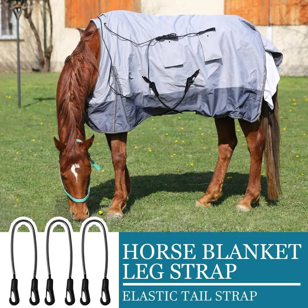 Horse Blanket