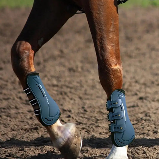 Horse Leg Protectors