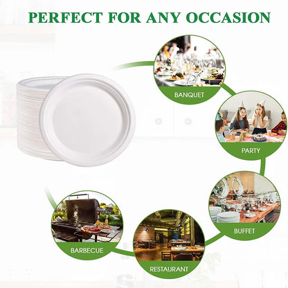 Bulk 50 Pcs 9 Inch Disposable Plates