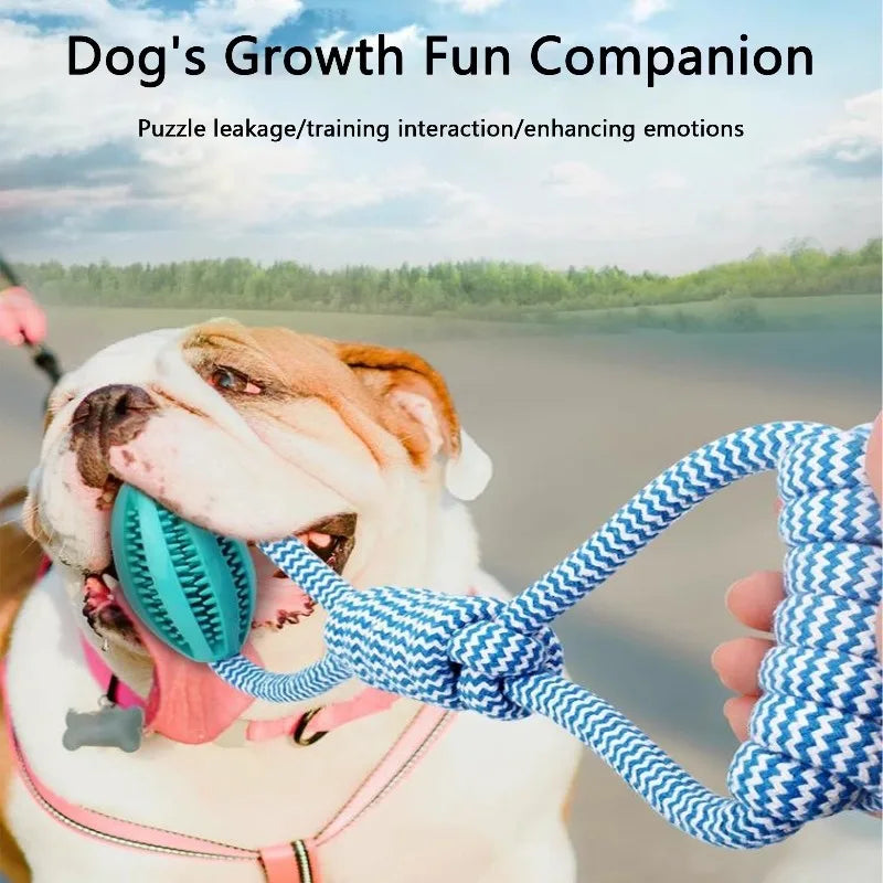 Rope Toy with Food Dispensing