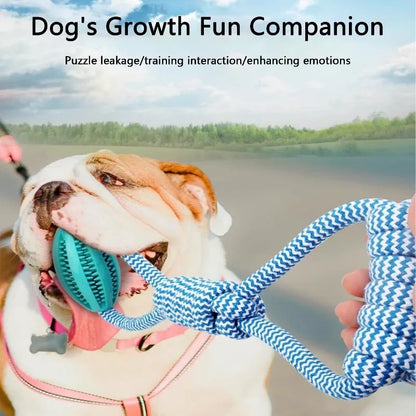Rope Toy with Food Dispensing