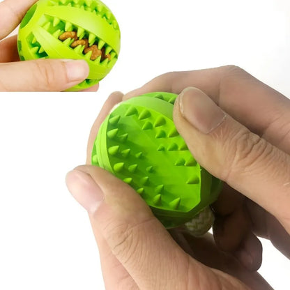 Rope Toy with Food Dispensing