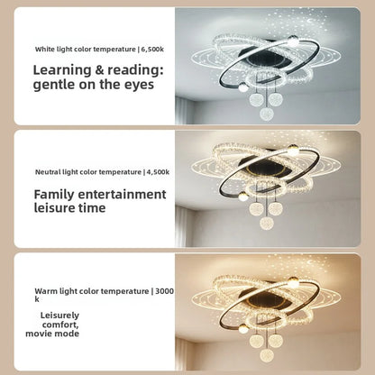 Elliptical Ceiling Lamp