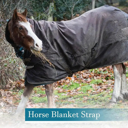 Horse Blanket